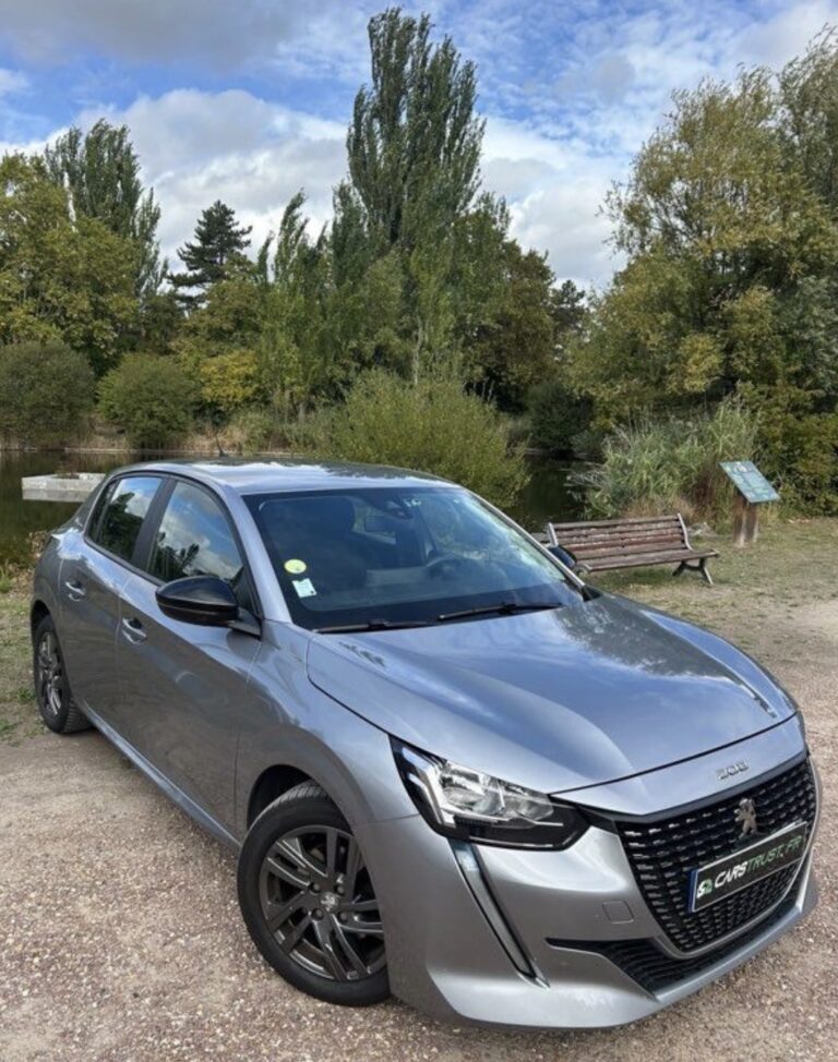 Peugeot 208 1.5 HDI 100cv Active pack
